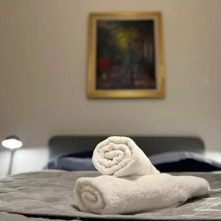 Apartment Cosyrent-strasbourg Gare 2-wi-fi Strasbourg