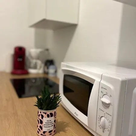 Cosyrent-strasbourg Gare 2-wi-fi Apartment Strasbourg