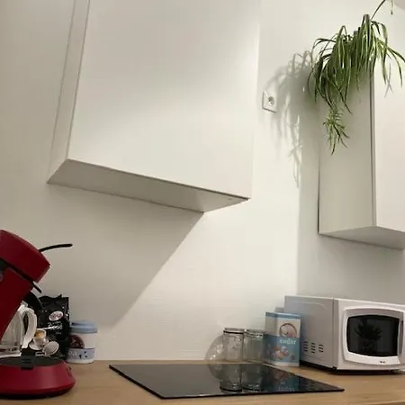 Apartment Cosyrent-strasbourg Gare 2-wi-fi *