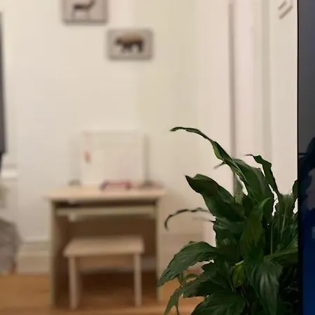 Apartment Cosyrent-strasbourg Gare 2-wi-fi Strasbourg